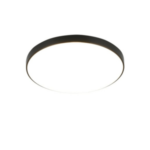 Stropní světlo Reality Spica, průměr 27 cm, černá, RER67851102
